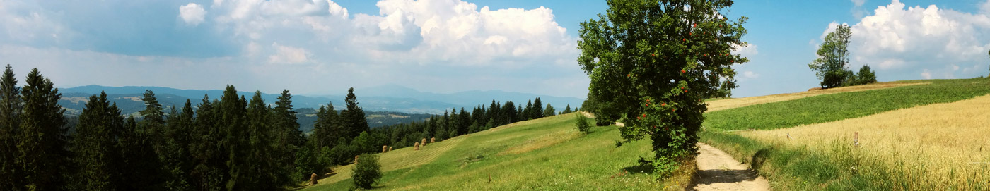 Baner